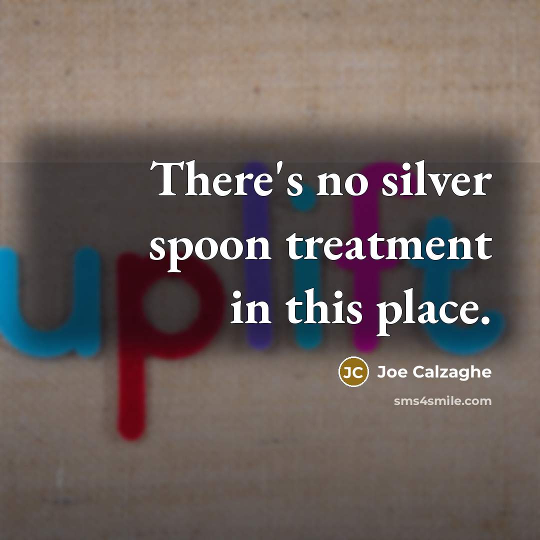 “There's no silver spoon treatment in this place.…” quote by Joe Calzaghe