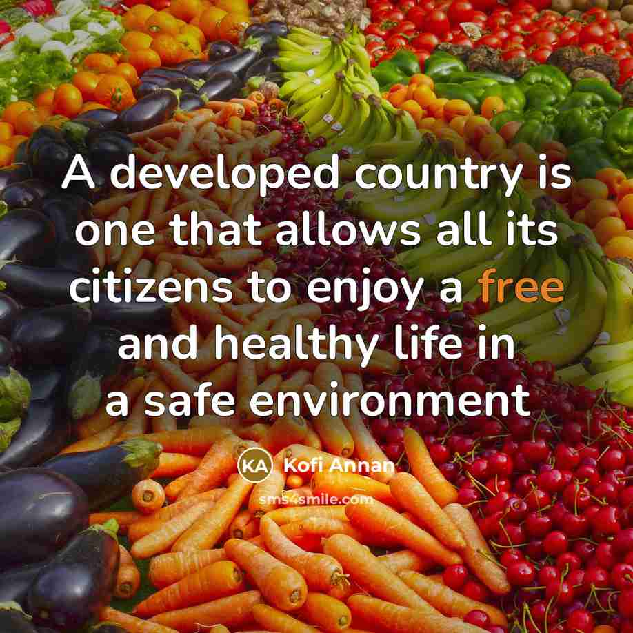 “A developed country is one that allows all its citizens…” quote by Kofi Annan