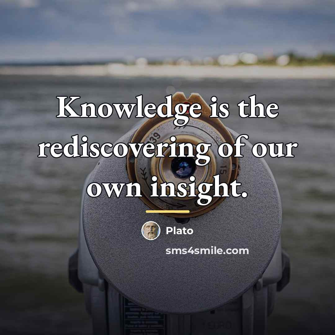 “Knowledge is the rediscovering of our own insight.…” quote by Plato