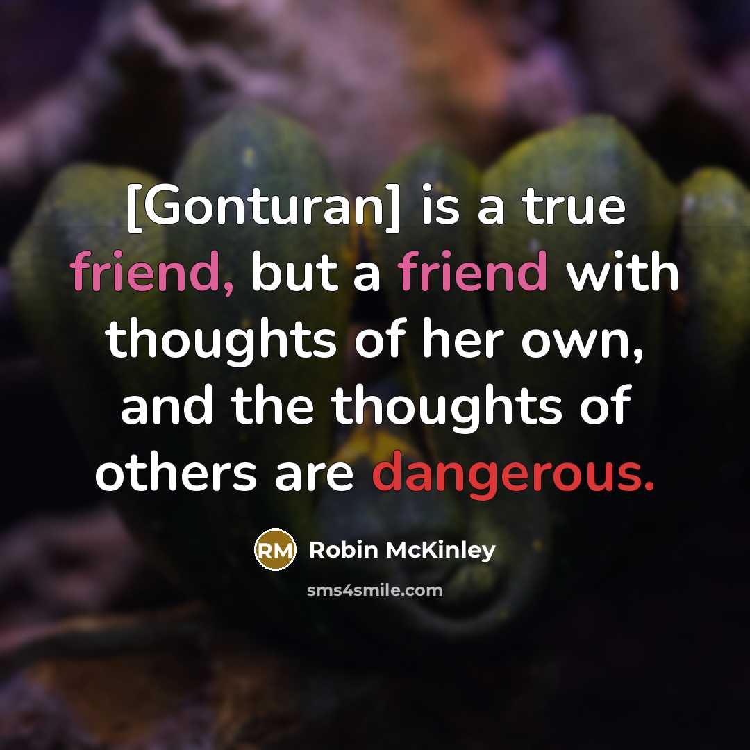 “[Gonturan] is a true friend, but a friend with thoughts…” quote by Robin McKinley