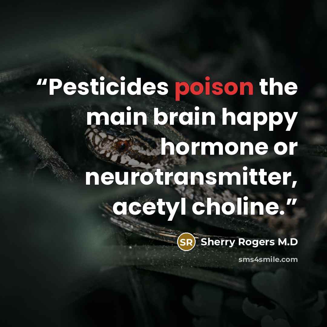 “Pesticides poison the main brain happy hormone or neurotransmitter, acetyl choline.” quote by Sherry Rogers M.D