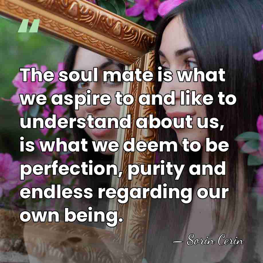 The soul mate is what we aspire to and like to understand&hellip; - Sorin Cerin
