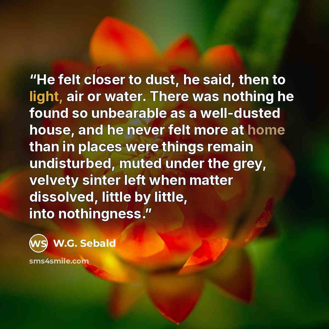 “He felt closer to dust, he said, then to light, air or water. There was nothing he found so unbearable as a well-dusted house, and he never felt more at home than in places were things remain undisturbed, muted under the grey, velvety sinter left when matter dissolved, little by little, into…” quote by W.G. Sebald