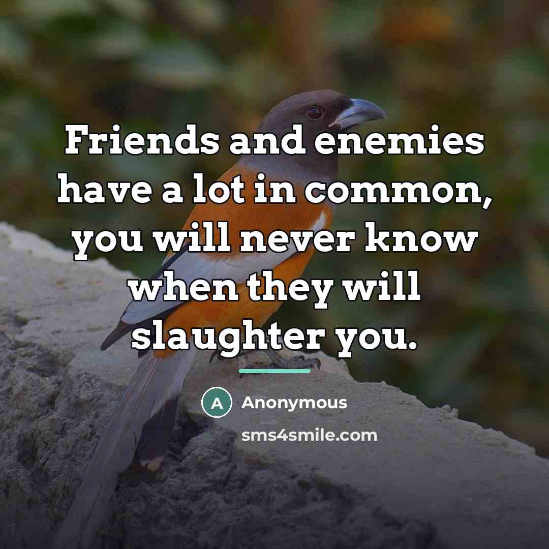 “Friends and enemies have a lot in common, you will…” quote by Anonymous