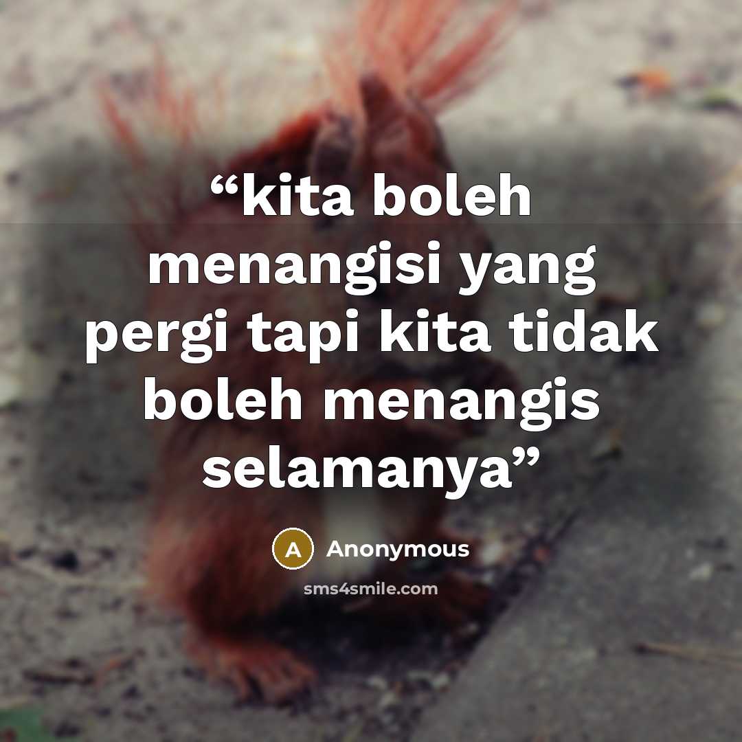 “kita boleh menangisi yang pergi tapi kita tidak boleh menangis selamanya” quote by Anonymous
