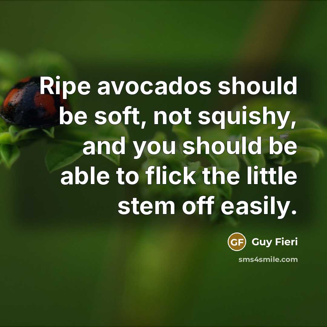 “Ripe avocados should be soft, not squishy, and you should…” quote by Guy Fieri