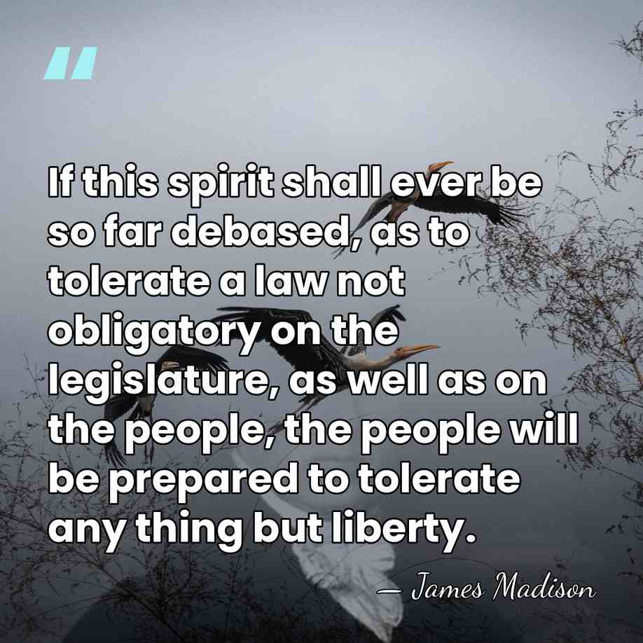 If this spirit shall ever be so far debased, as to tolerate&hellip; - James Madison