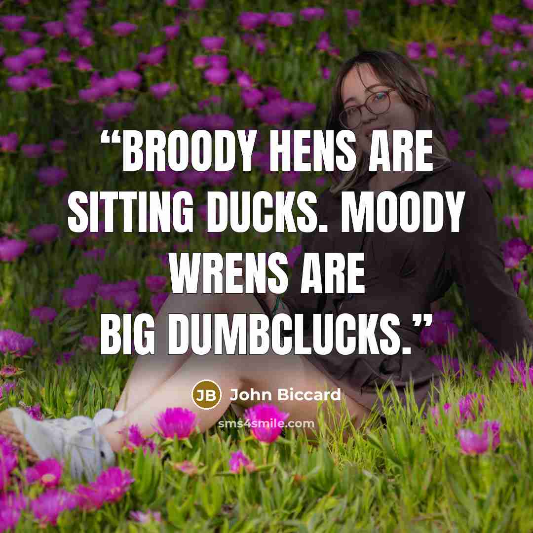 “Broody hens are sitting ducks. Moody wrens are big dumbclucks.” quote by John Biccard