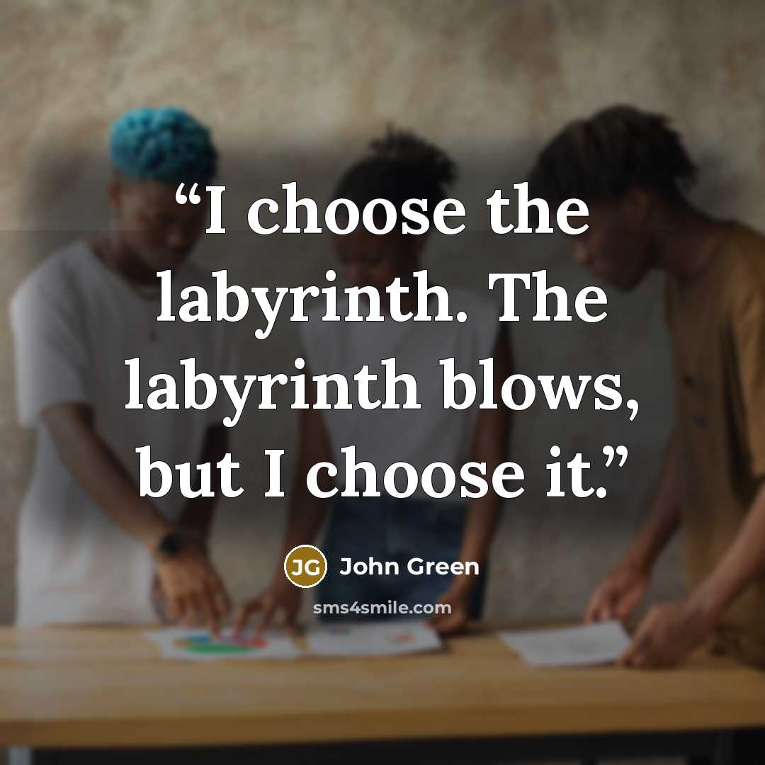 “I choose the labyrinth. The labyrinth blows, but I choose it.” quote by John Green