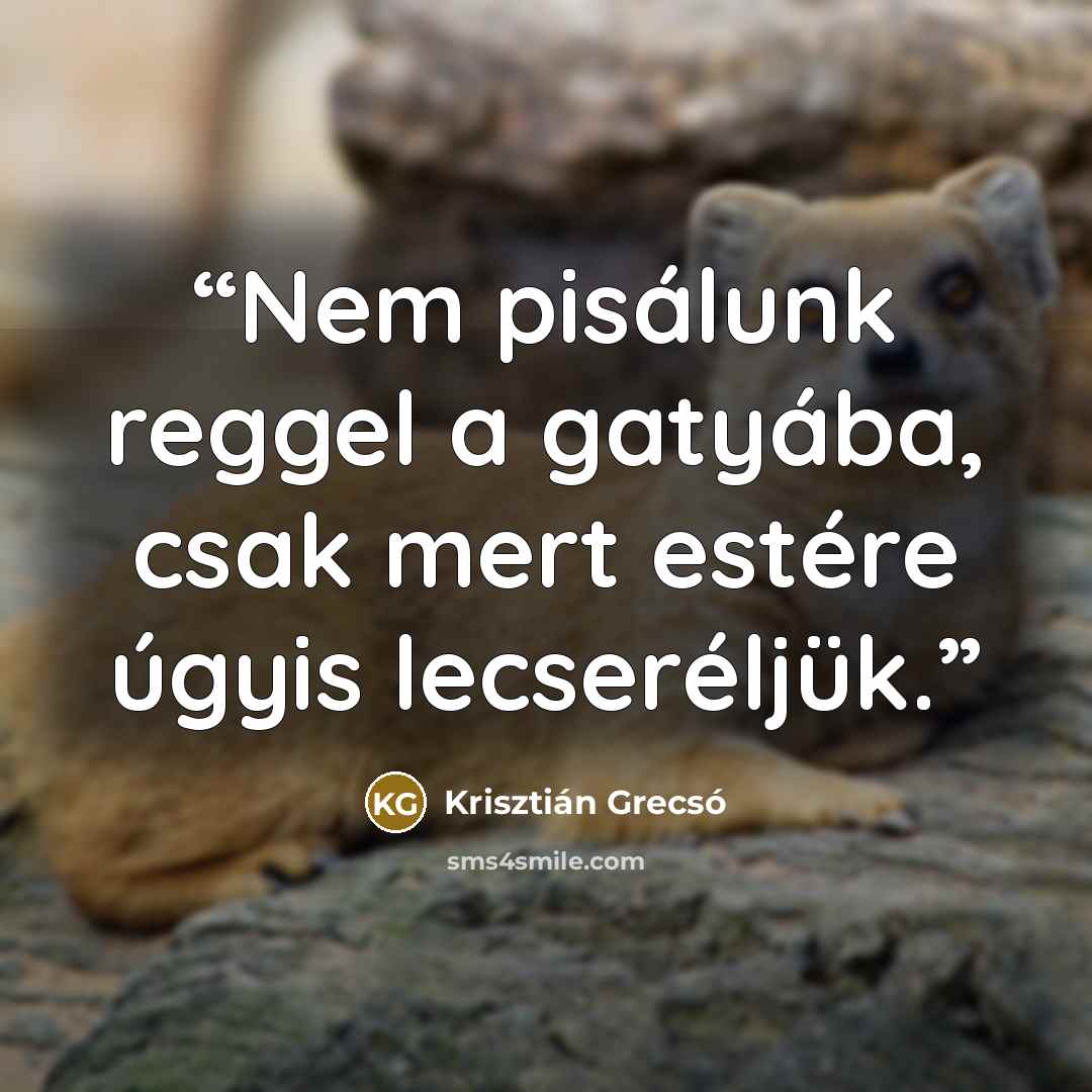 “Nem pisálunk reggel a gatyába, csak mert estére úgyis lecseréljük.” quote by Krisztián Grecsó
