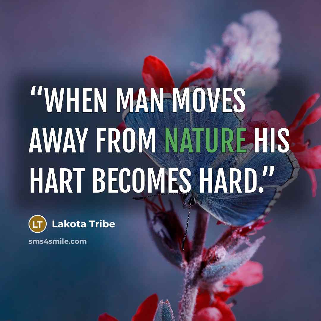 “when man moves away from nature his hart becomes hard.” quote by Lakota Tribe