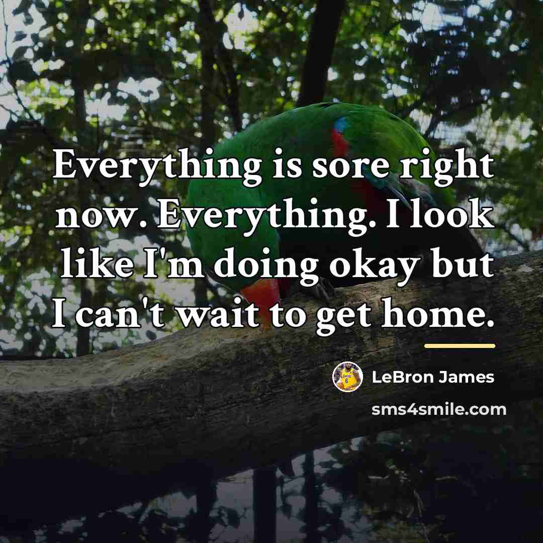 “Everything is sore right now. Everything. I look like I'm…” quote by LeBron James