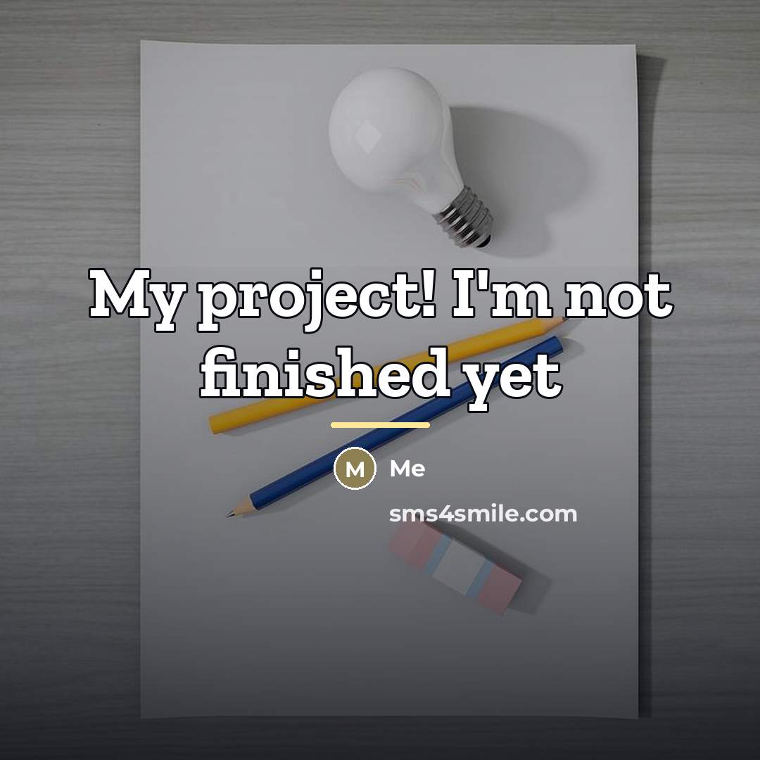 “My project! I'm not finished yet…” quote by Me