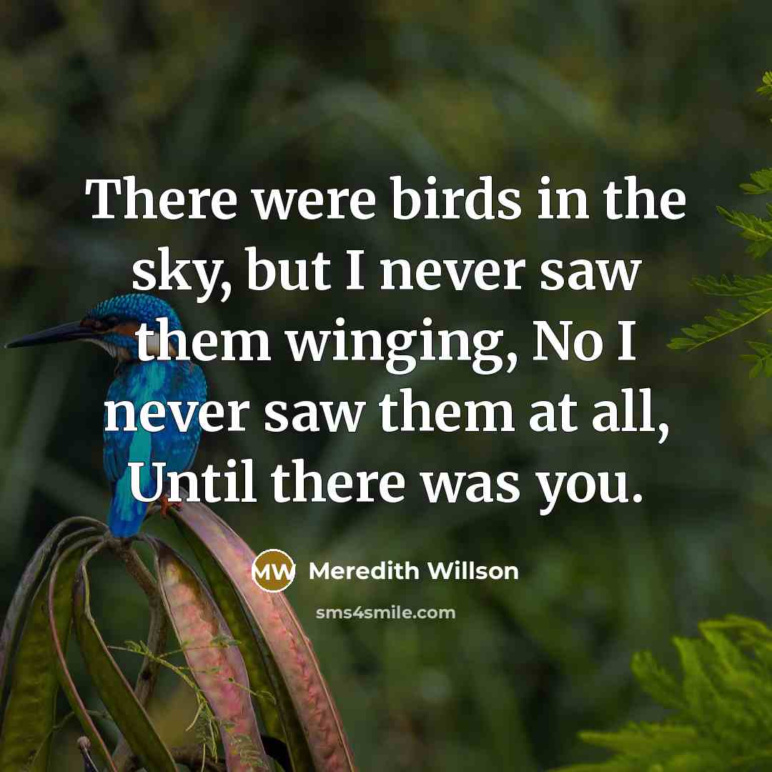 “There were birds in the sky, but I never saw…” quote by Meredith Willson