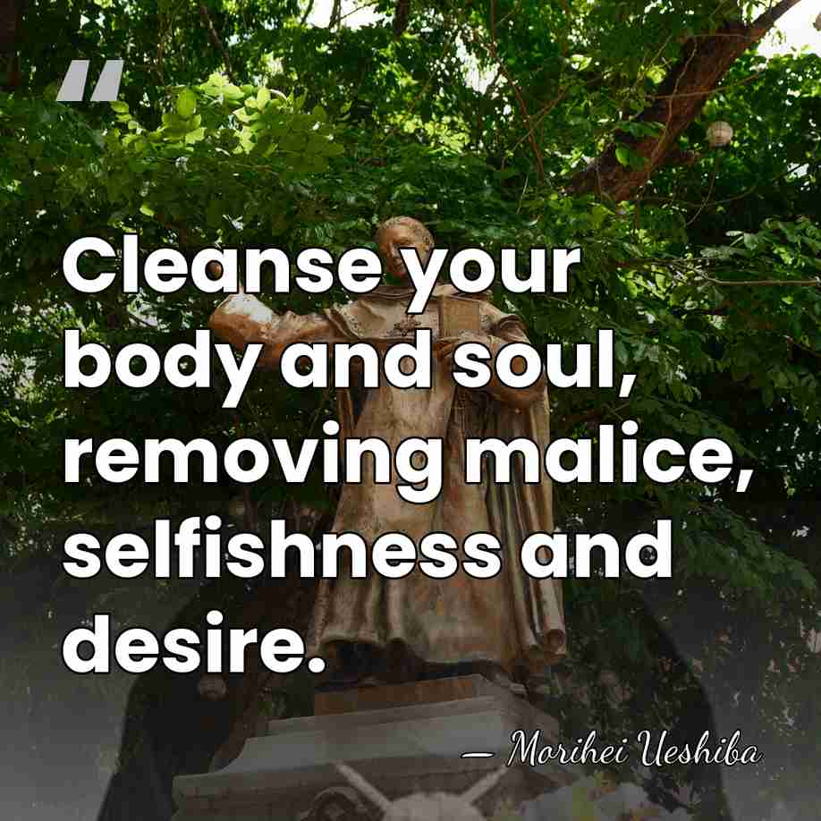 Cleanse your body and soul, removing malice, selfishness and desire. - Morihei Ueshiba