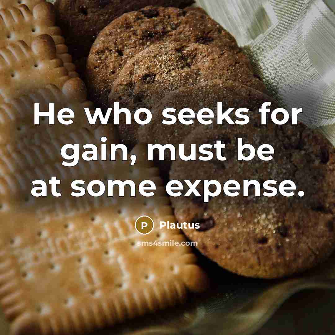 “He who seeks for gain, must be at some expense.…” quote by Plautus