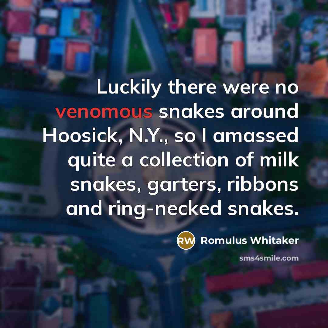 “Luckily there were no venomous snakes around Hoosick, N.Y., so…” quote by Romulus Whitaker