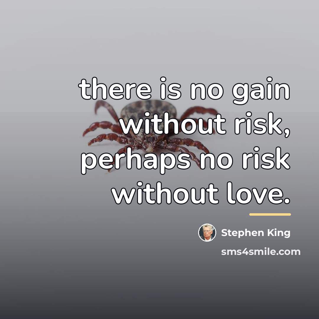 “there is no gain without risk, perhaps no risk without…” quote by Stephen King