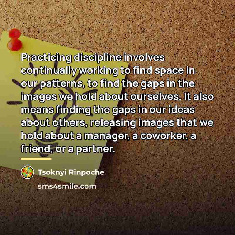 “Practicing discipline involves continually working to find space in our…” quote by Tsoknyi Rinpoche