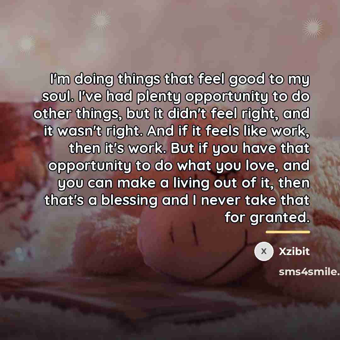 “I'm doing things that feel good to my soul. I've…” quote by Xzibit