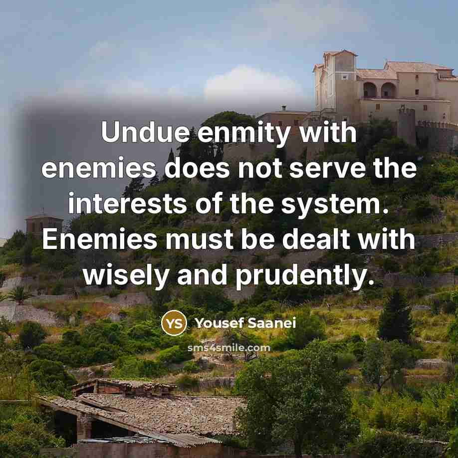“Undue enmity with enemies does not serve the interests of…” quote by Yousef Saanei