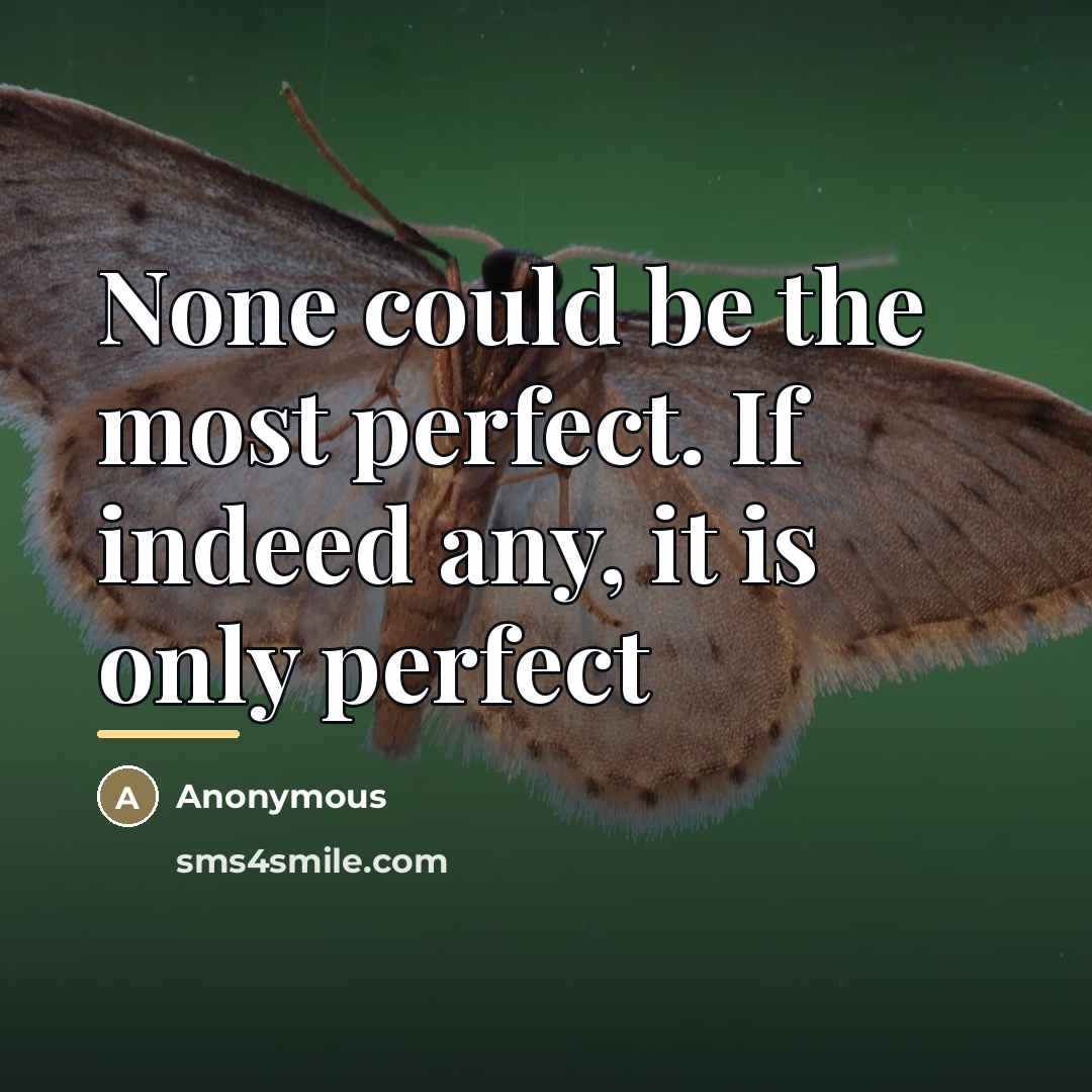 “None could be the most perfect. If indeed any, it…” quote by Anonymous
