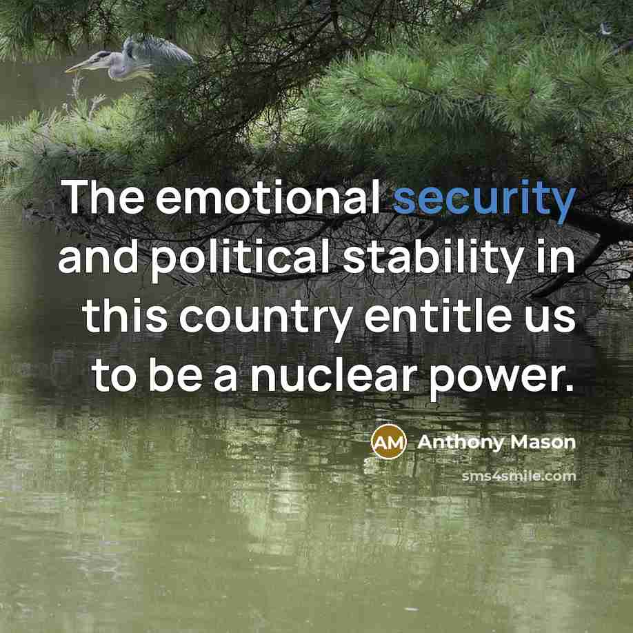 “The emotional security and political stability in this country entitle…” quote by Anthony Mason