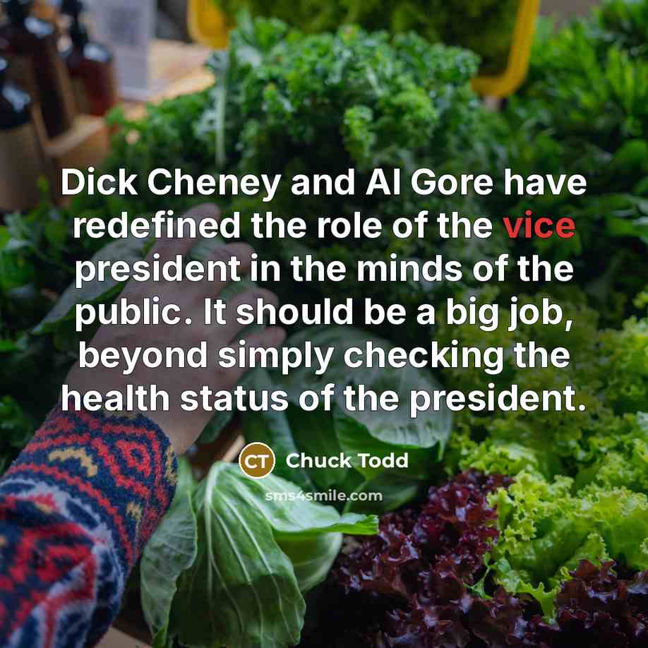 “Dick Cheney and Al Gore have redefined the role of…” quote by Chuck Todd