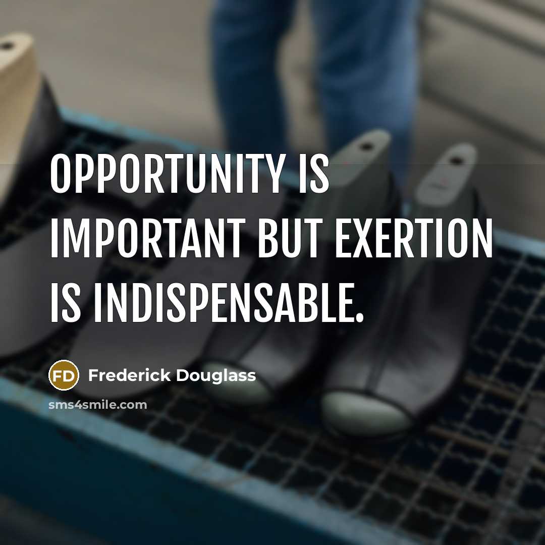 “Opportunity is important but exertion is indispensable.…” quote by Frederick Douglass