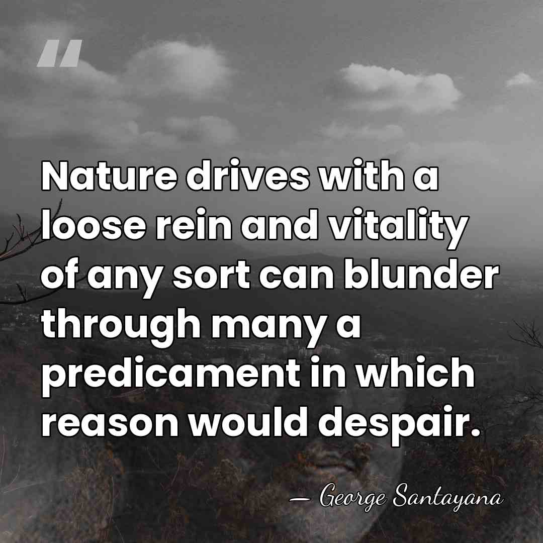 Nature drives with a loose rein and vitality of any sort can&hellip; - George Santayana