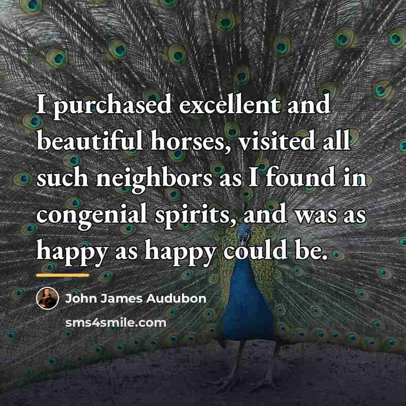 “I purchased excellent and beautiful horses, visited all such neighbors…” quote by John James Audubon