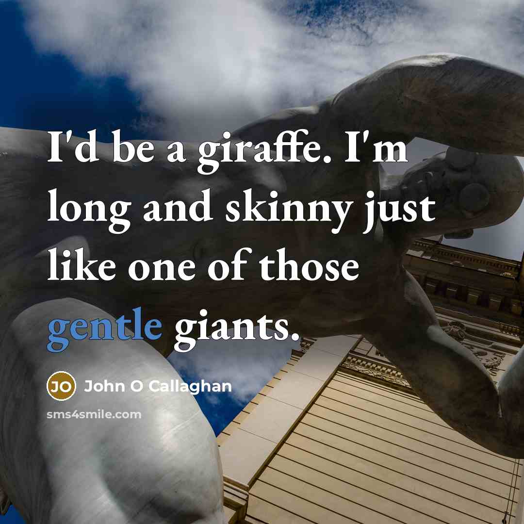“I'd be a giraffe. I'm long and skinny just like one of those gentle giants.” quote by John O Callaghan