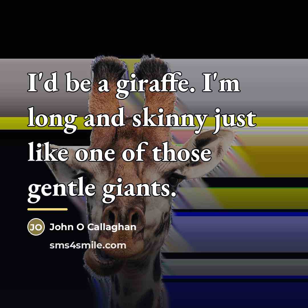 “I'd be a giraffe. I'm long and skinny just like…” quote by John O Callaghan