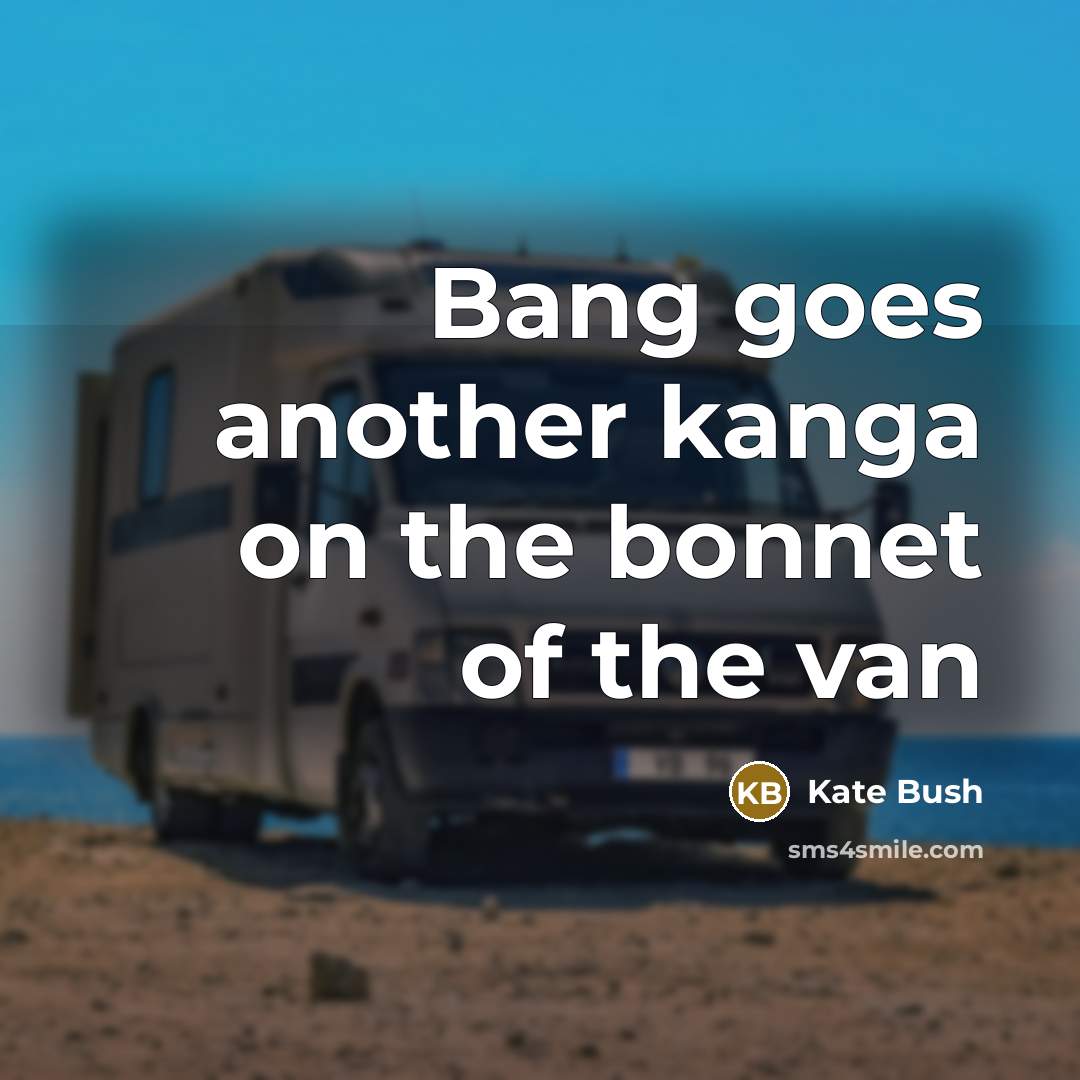 “Bang goes another kanga on the bonnet of the van…” quote by Kate Bush