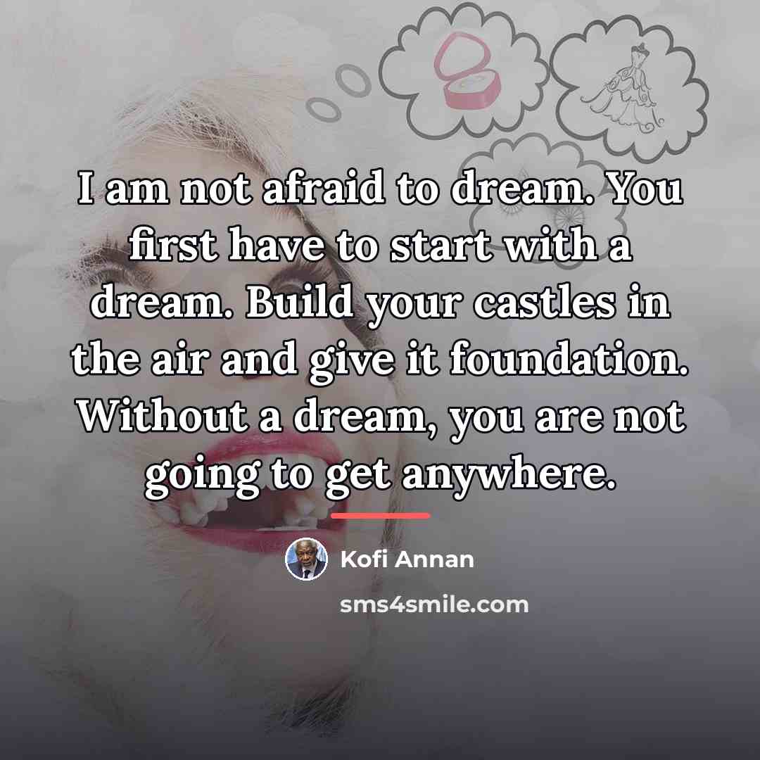 “I am not afraid to dream. You first have to…” quote by Kofi Annan