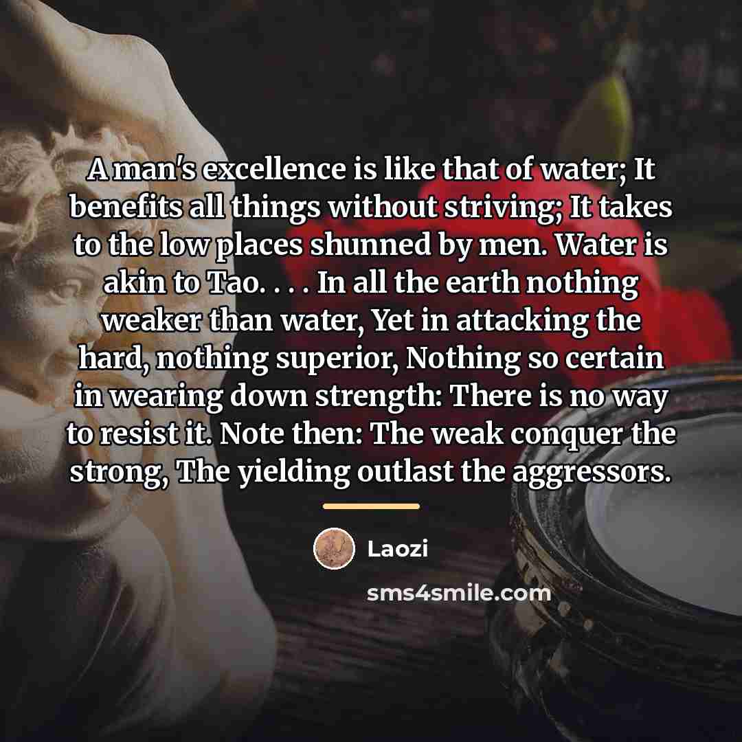 “A man's excellence is like that of water; It benefits…” quote by Laozi