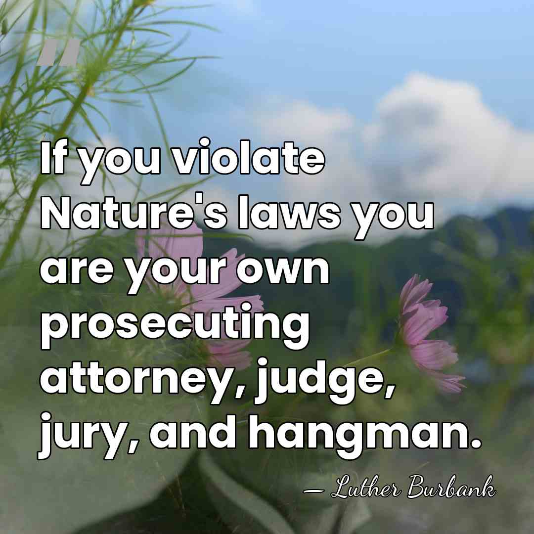 If you violate Nature's laws you are your own prosecuting attorney, judge,&hellip; - Luther Burbank