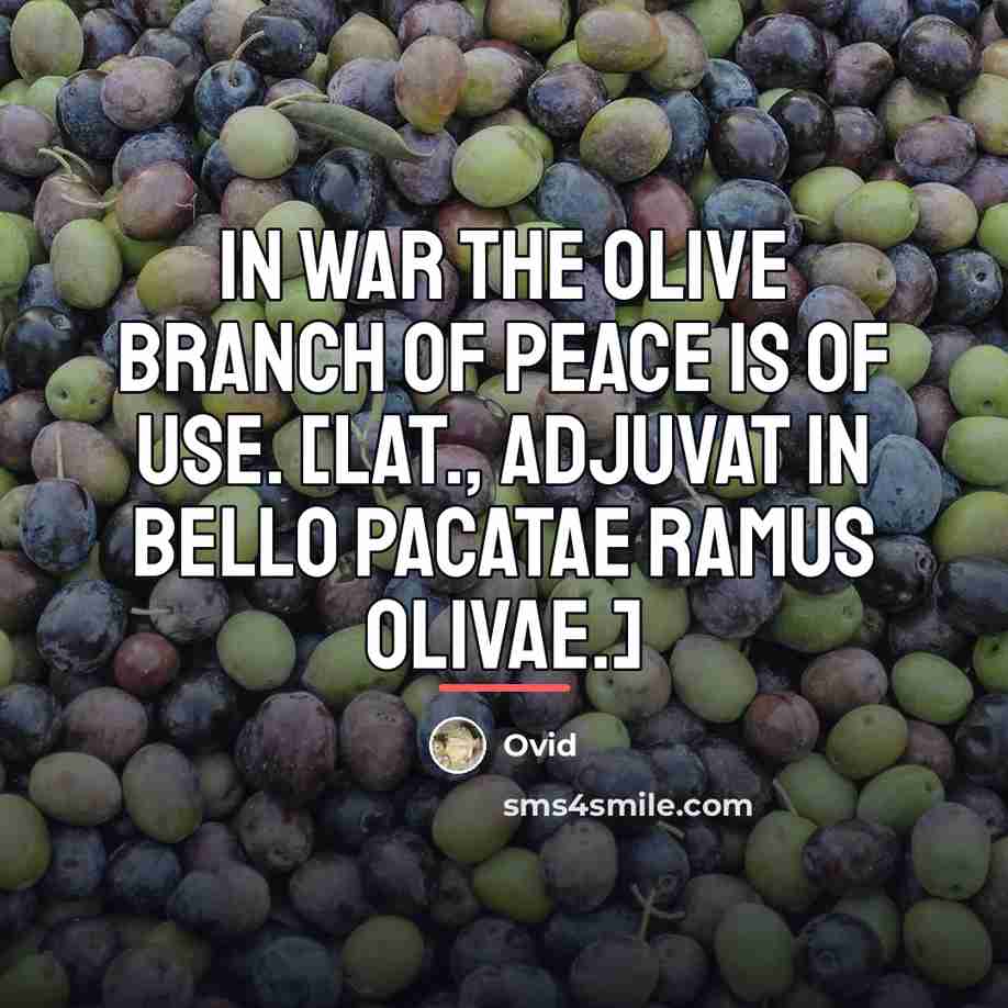 “In war the olive branch of peace is of use.…” quote by Ovid