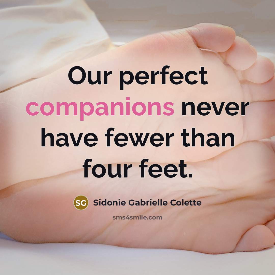 “Our perfect companions never have fewer than four feet.” quote by Sidonie Gabrielle Colette