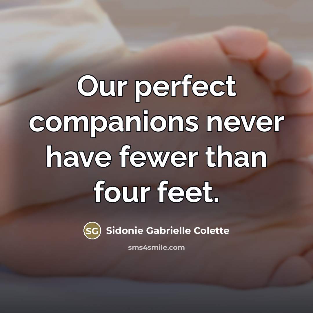 “Our perfect companions never have fewer than four feet.…” quote by Sidonie Gabrielle Colette