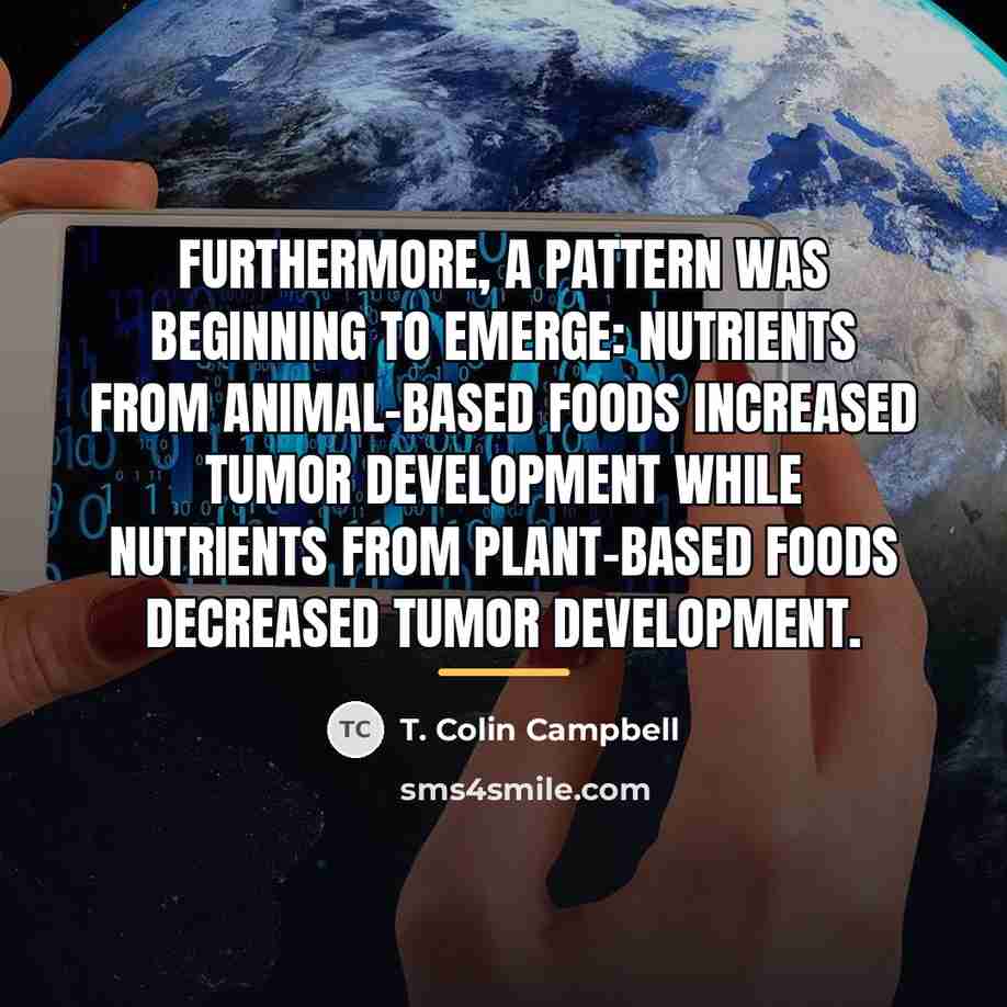 “Furthermore, a pattern was beginning to emerge: nutrients from animal-based…” quote by T. Colin Campbell