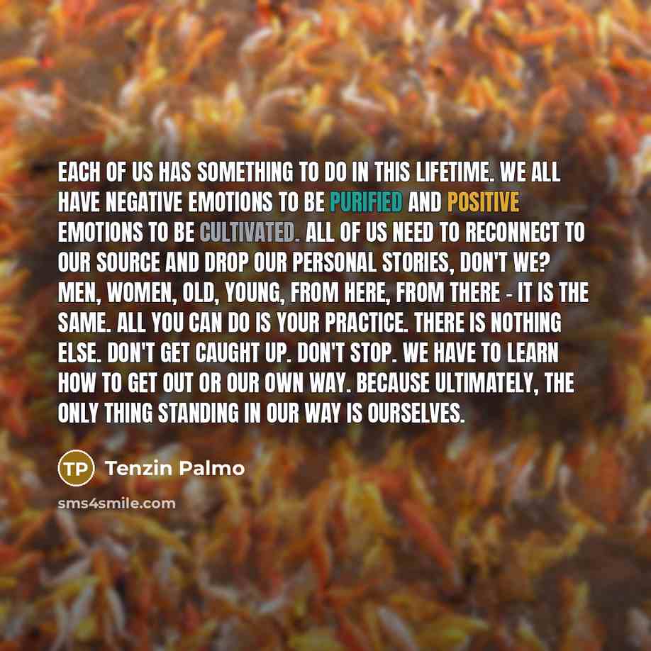 “Each of us has something to do in this lifetime.…” quote by Tenzin Palmo