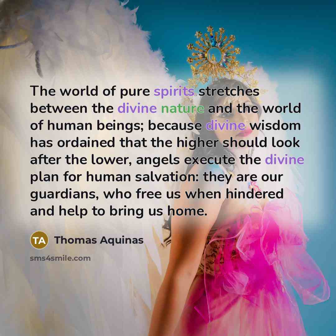 “The world of pure spirits stretches between the divine nature…” quote by Thomas Aquinas