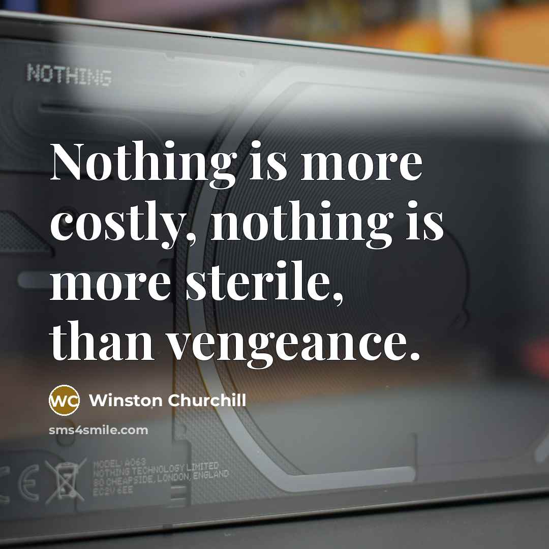 “Nothing is more costly, nothing is more sterile, than vengeance.…” quote by Winston Churchill