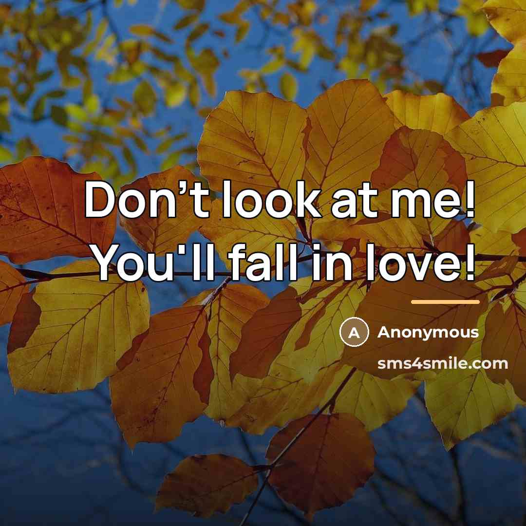 “Don't look at me! You'll fall in love!…” quote by Anonymous