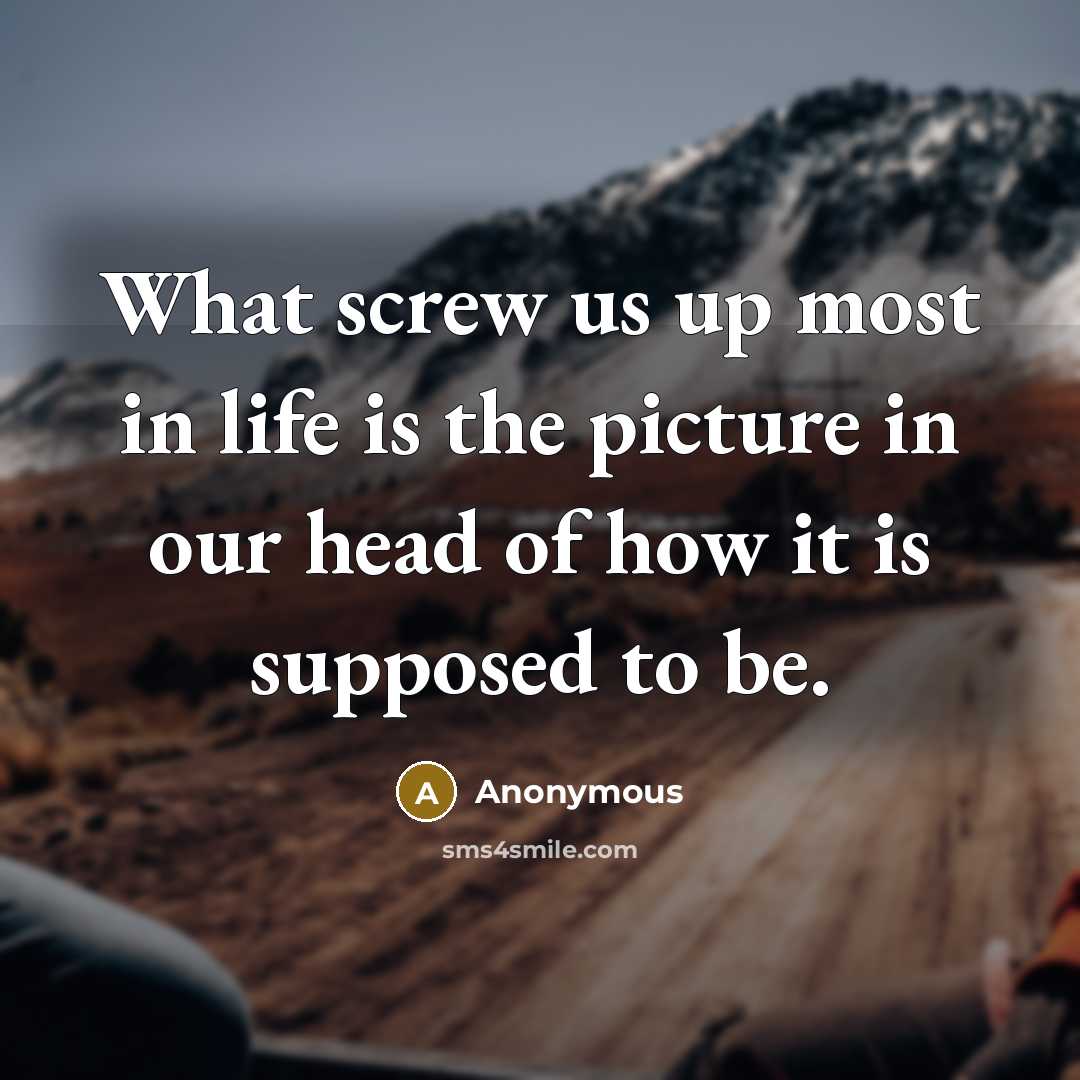 “What screw us up most in life is the picture…” quote by Anonymous
