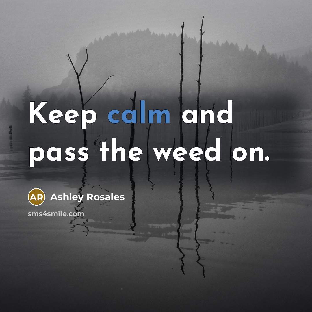 “Keep calm and pass the weed on.…” quote by Ashley Rosales