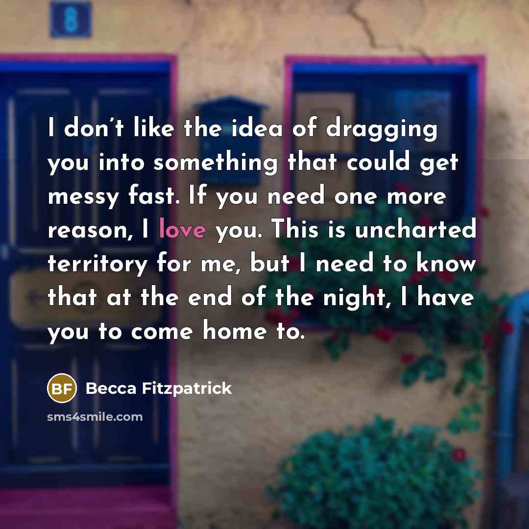 “I don’t like the idea of dragging you into something…” quote by Becca Fitzpatrick