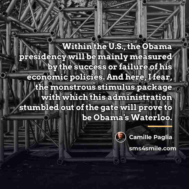 “Within the U.S., the Obama presidency will be mainly measured…” quote by Camille Paglia