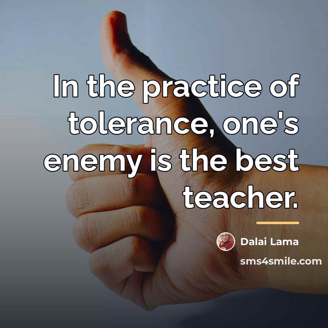 “In the practice of tolerance, one's enemy is the best…” quote by Dalai Lama